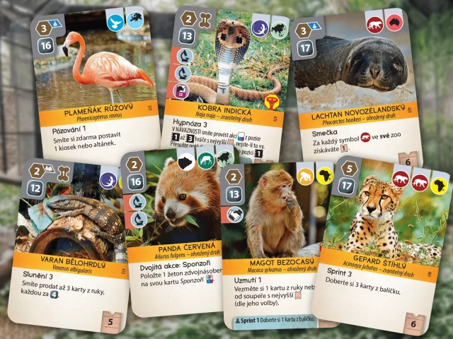 Zoo strategická hra