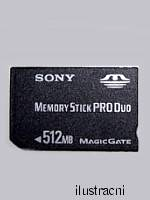 Memory Stick Pro Duo - 256 MB (PSP)