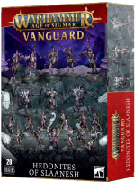 W-AOS: Vanguard - Hedonites of Slaanesh (20 figurek)