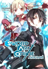 Kniha Sword Art Online - Aincrad 2