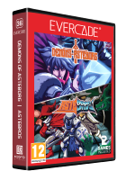 Cartridge pro retro herní konzole Evercade - Demons of Asteborg & Astebros (PC)