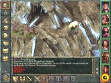 Baldurs Gate Compilation (4 in 1 box set) (PC)