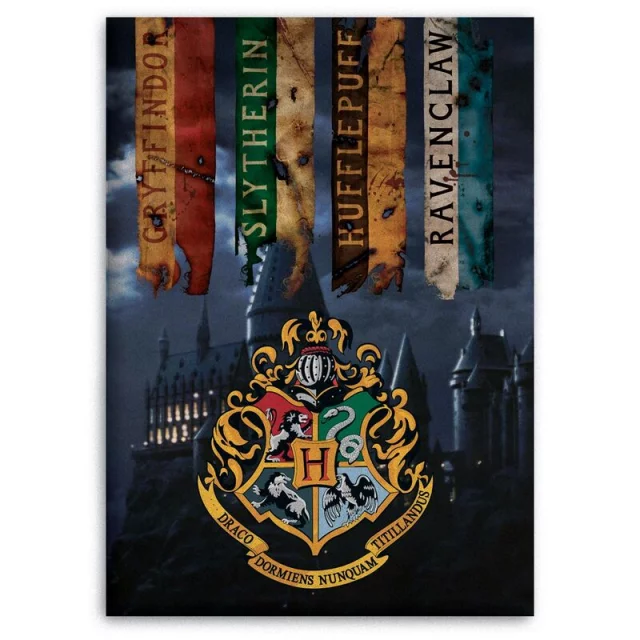 Deka Harry Potter - Hogwarts Schools