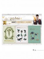 Magnet Harry Potter - Care of Magical creatures (3 ks)