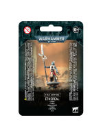 W40k: Tau Empire Ethereal (1 figurka)